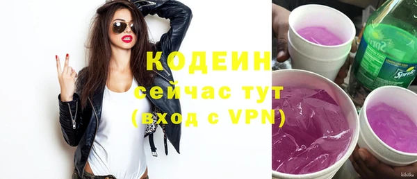 хмурый Богородицк