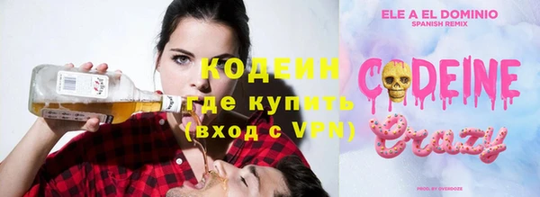 хмурый Богородицк