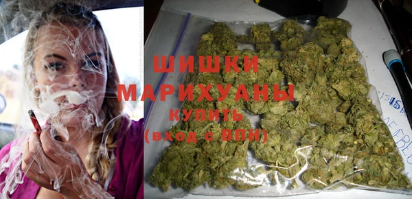 хмурый Богородицк