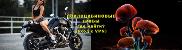 бутират Богданович