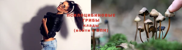 кристаллы Богородск