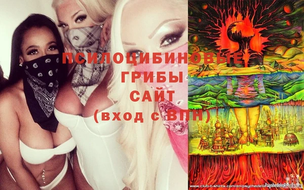 хмурый Богородицк