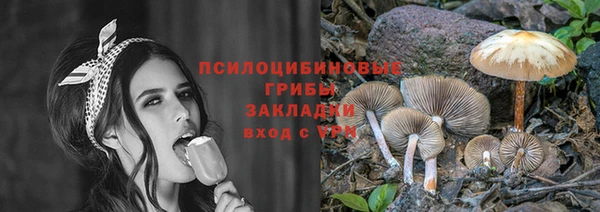 бутират Богданович