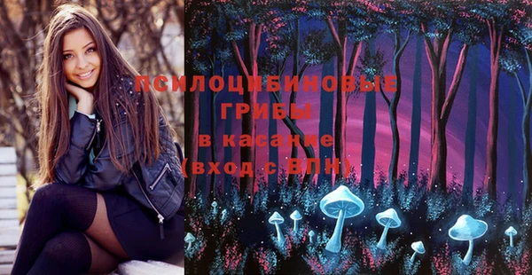бутират Богданович