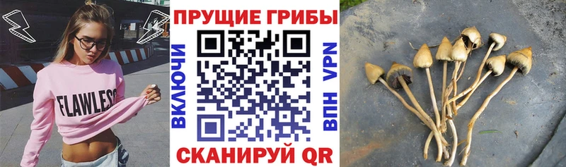 Псилоцибиновые грибы ЛСД  Гороховец 